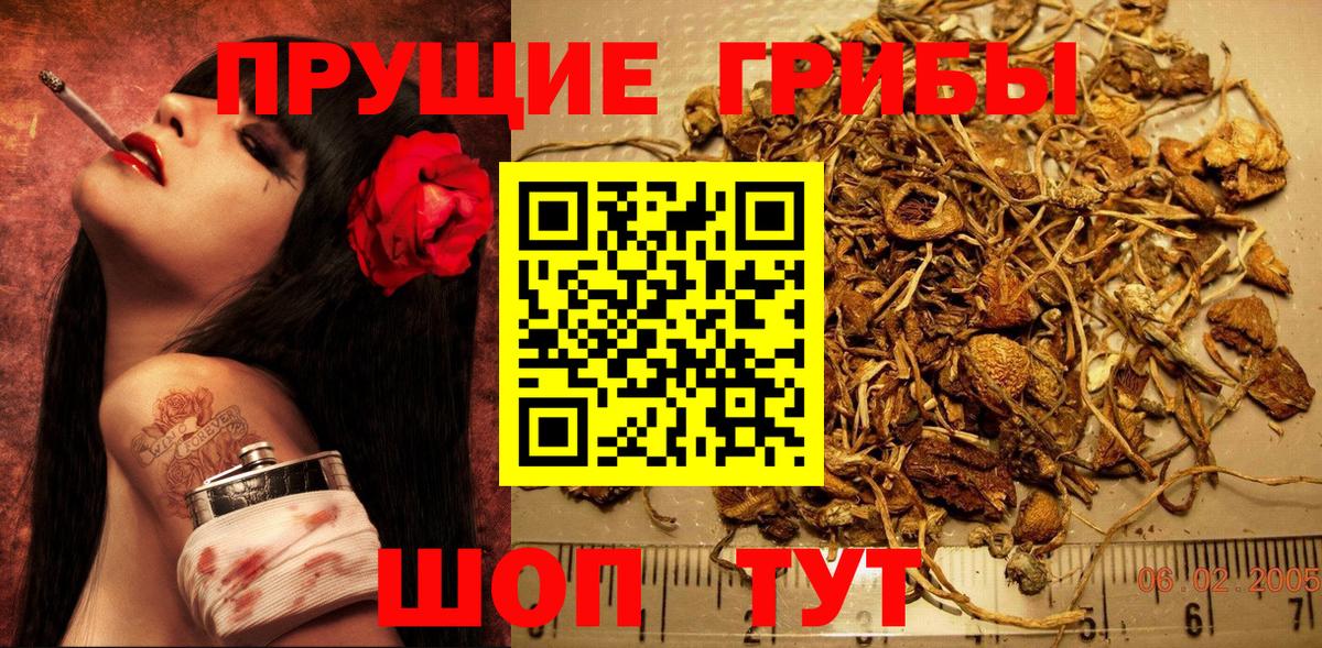 Псилоцибиновые грибы мухоморы  Вход с VPN  Сальск 